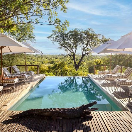 Simbavati Hilltop Lodge Timbavati Game Reserve Eksteriør billede