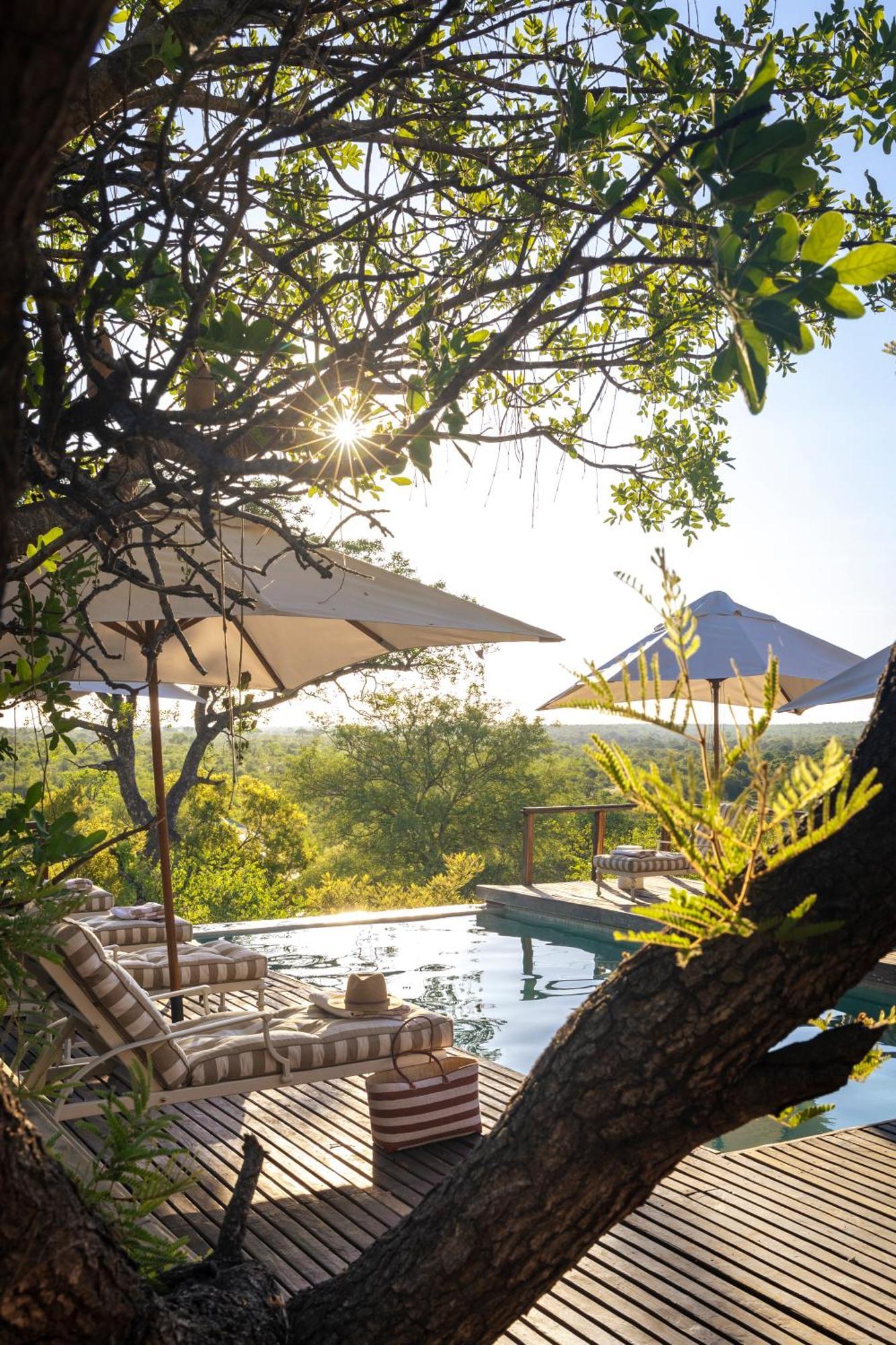 Simbavati Hilltop Lodge Timbavati Game Reserve Eksteriør billede