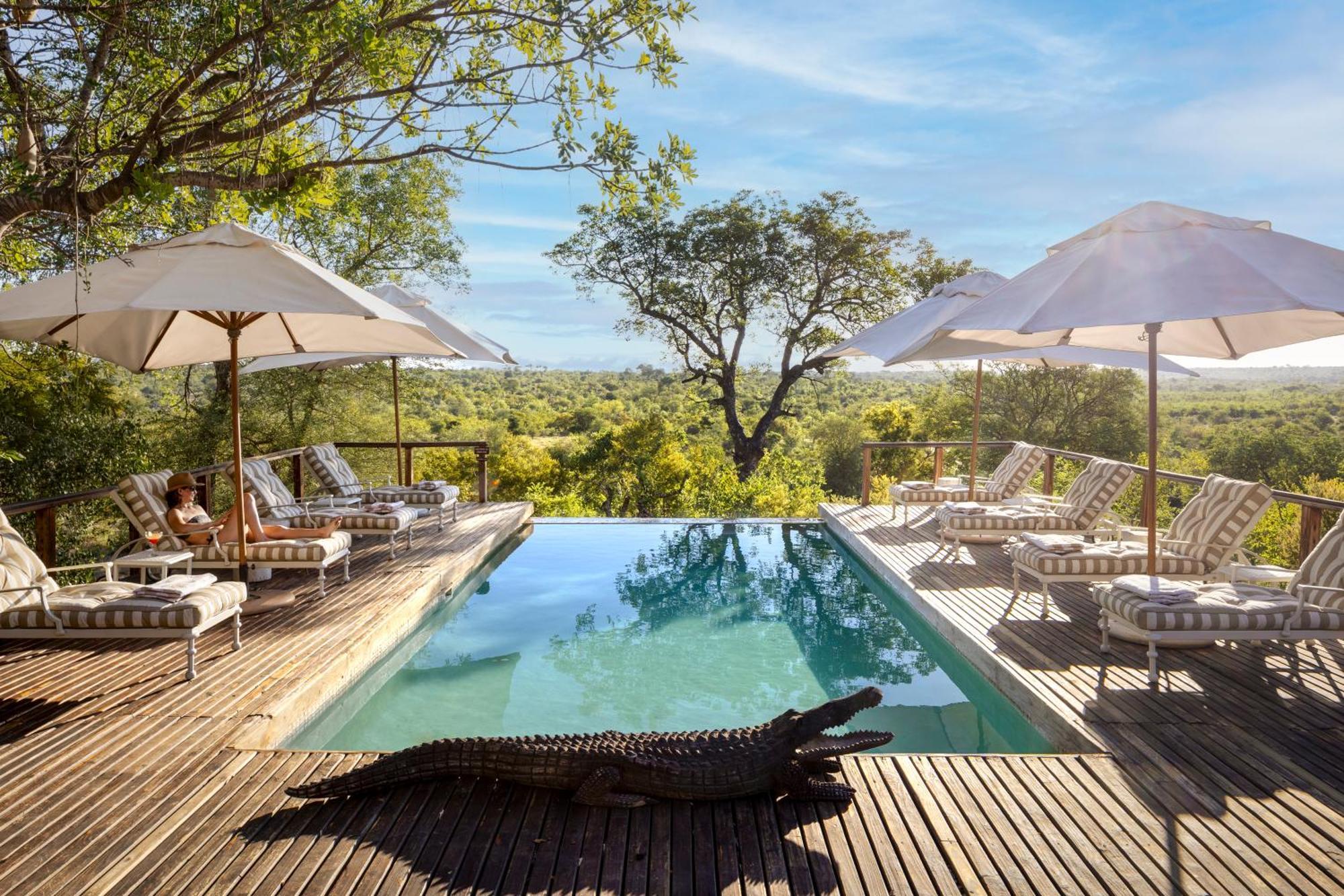 Simbavati Hilltop Lodge Timbavati Game Reserve Eksteriør billede