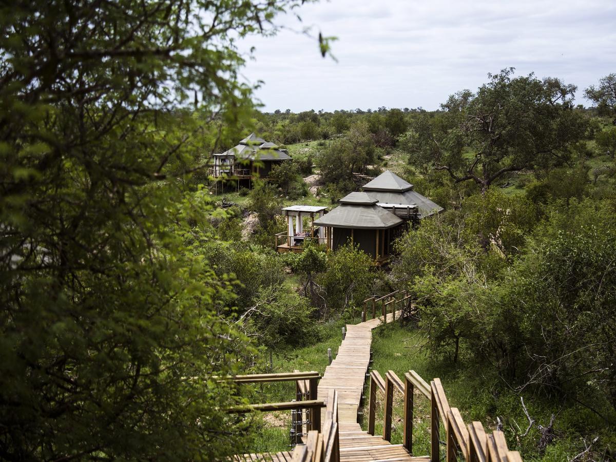 Simbavati Hilltop Lodge Timbavati Game Reserve Eksteriør billede