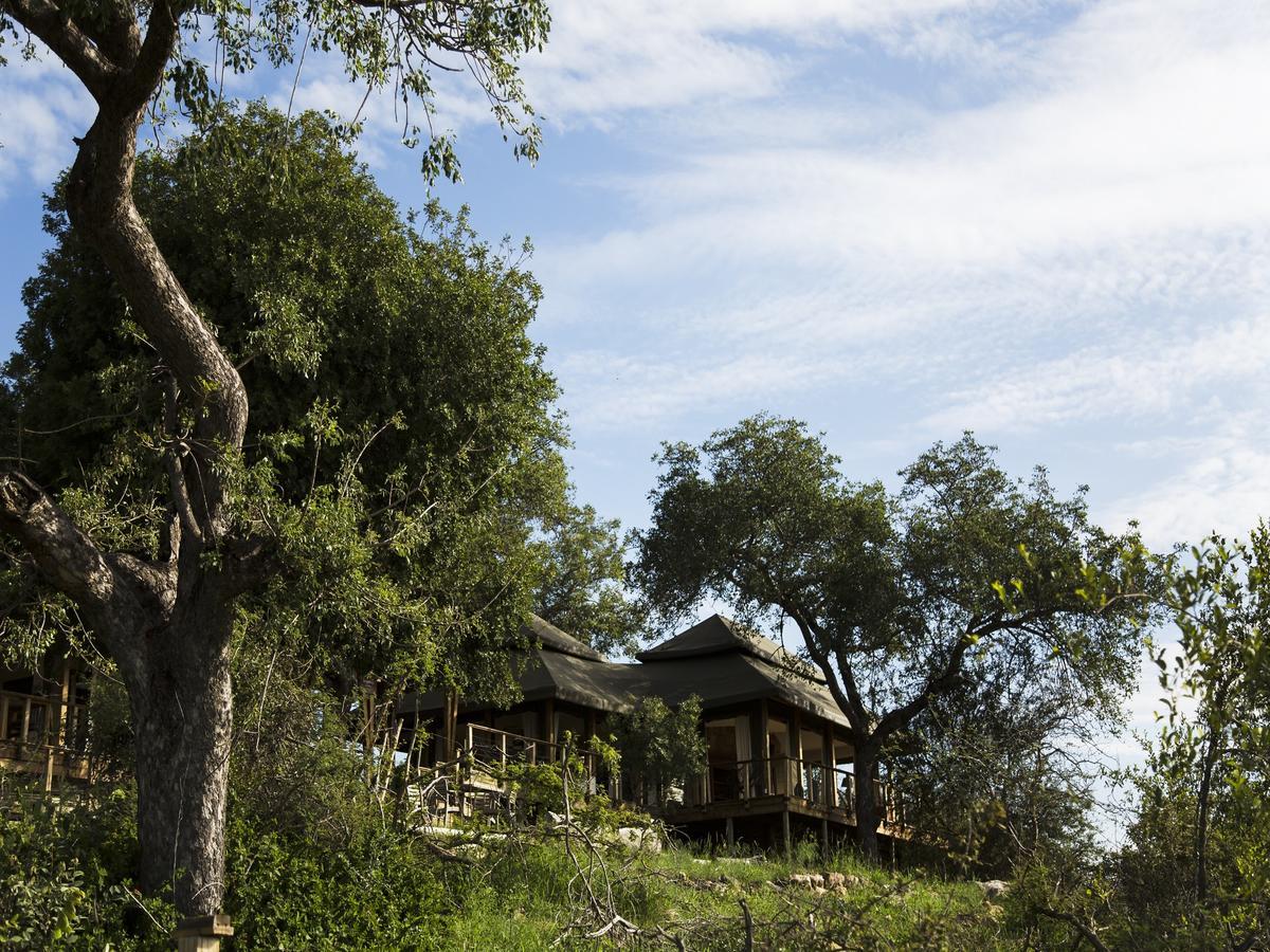 Simbavati Hilltop Lodge Timbavati Game Reserve Eksteriør billede