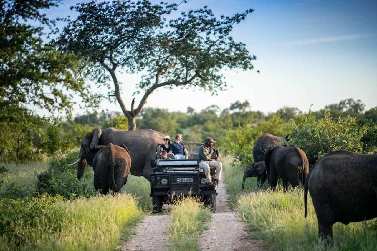 Simbavati Hilltop Lodge Timbavati Game Reserve Eksteriør billede